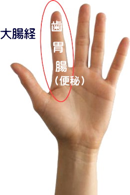 手の経絡の説明図