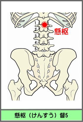 ツボ　けんすう