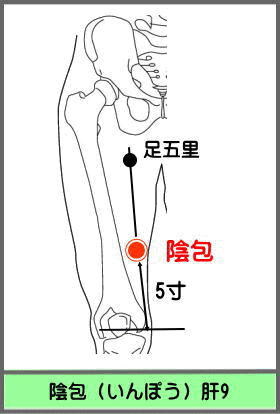 ツボ　いんぽう