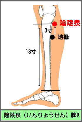 ツボ　いんりょうせん