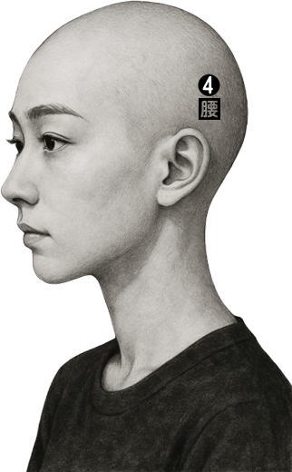 頭部操法　第四調律点