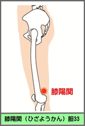 ツボ　あしようかん　（ひざようかん）