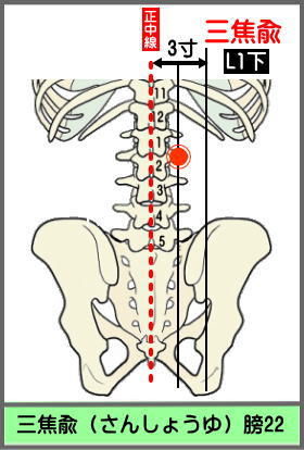 ツボ　さんしょうゆ
