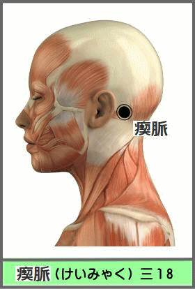 ツボ　けいみゃく