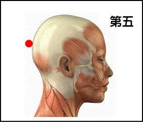 頭部操法　第五調律点