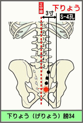 ツボ　げりょう