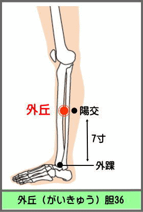 ツボ　がいきゅう