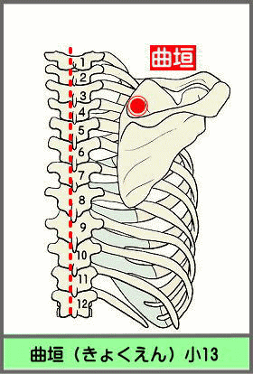 ツボ　きょくえん