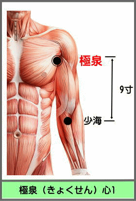 ツボ　きょくせん