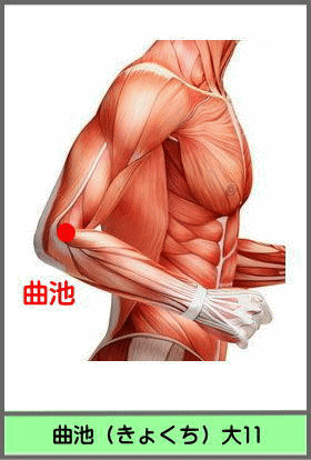 ツボ　きょくち