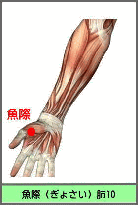 ツボ　ぎょさい