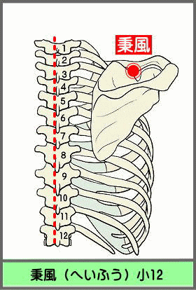 ツボ　へいふう