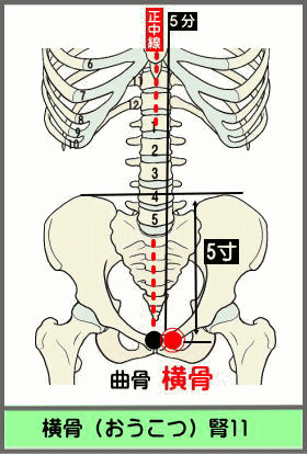 ツボ　おうこつ