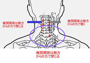 評価法　頚部の図１