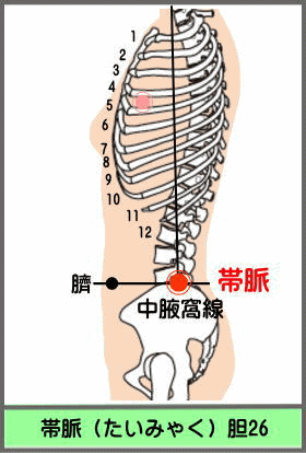ツボ　たいみゃく