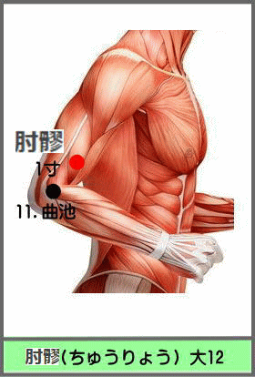 ツボ　ちゅうりょう