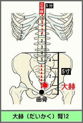 ツボ　だいかく
