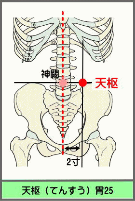 ツボ　てんすう