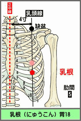 ツボ　にゅうこん
