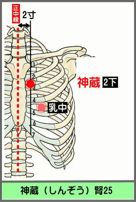ツボ　しんぞう