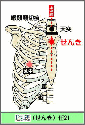 ツボ　せんき